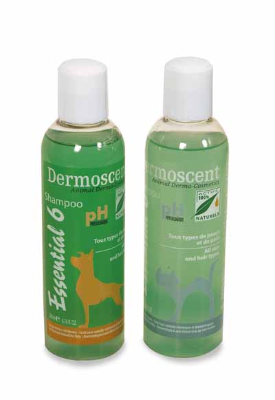 DERMOSCENT ESSENTIAL 6 Shampoo