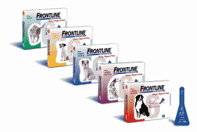 FRONTLINE FRONTLINE