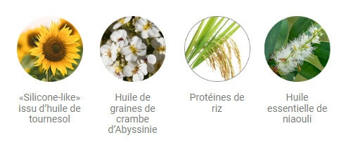 PHYSIO EASY BRUSH PHYSIO EASY BRUSH